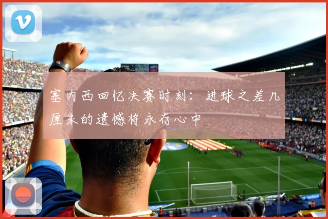 塞内西回忆决赛时刻:进球之差几厘米的遗憾将永存心中